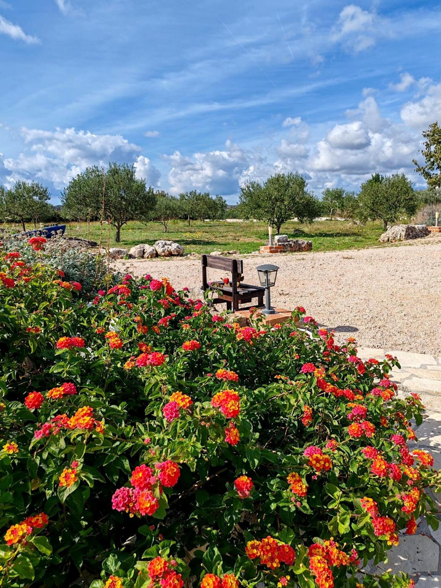 Holiday Home Juli With Jacuzzi Šibenik Екстериор снимка